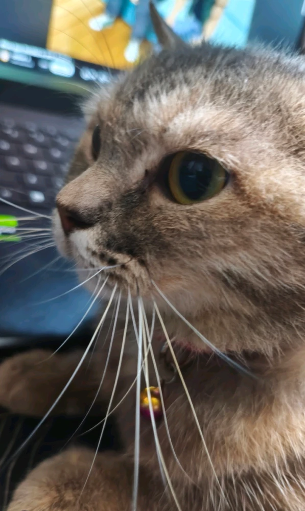 GIF uploaded by Migz