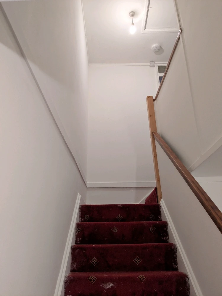 Image uploaded by Connor