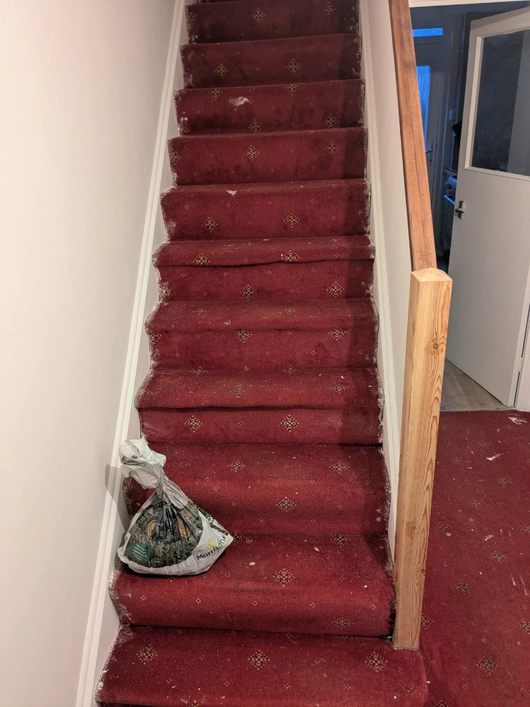 Image uploaded by Connor