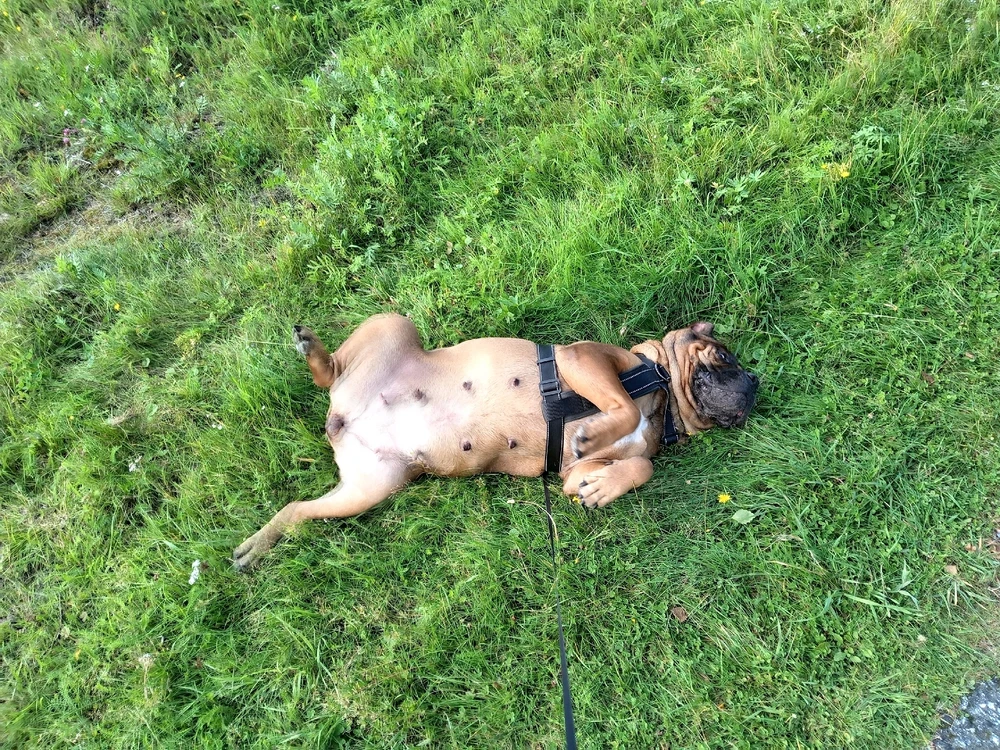 GIF uploaded by Aleks