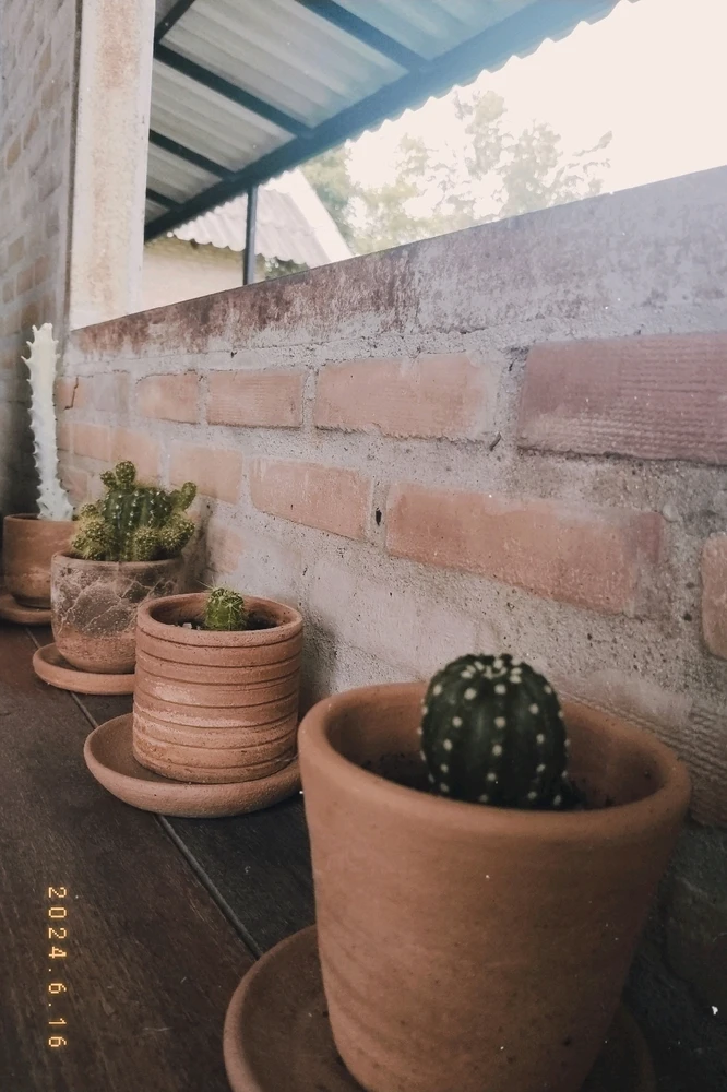 รูปที่อัพโหลดโดย NANI