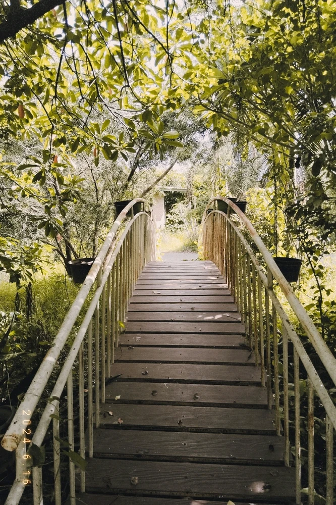 รูปที่อัพโหลดโดย NANI