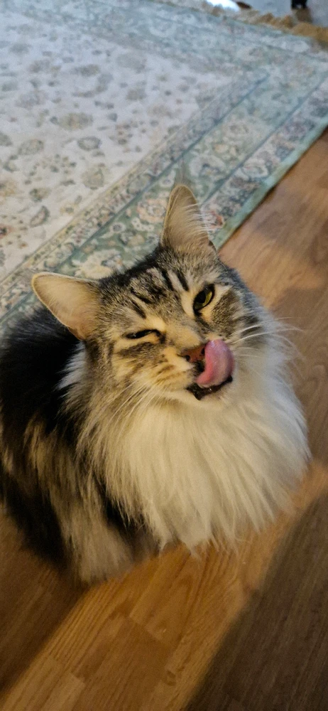 GIF-tiedoston lisäsi Oskari