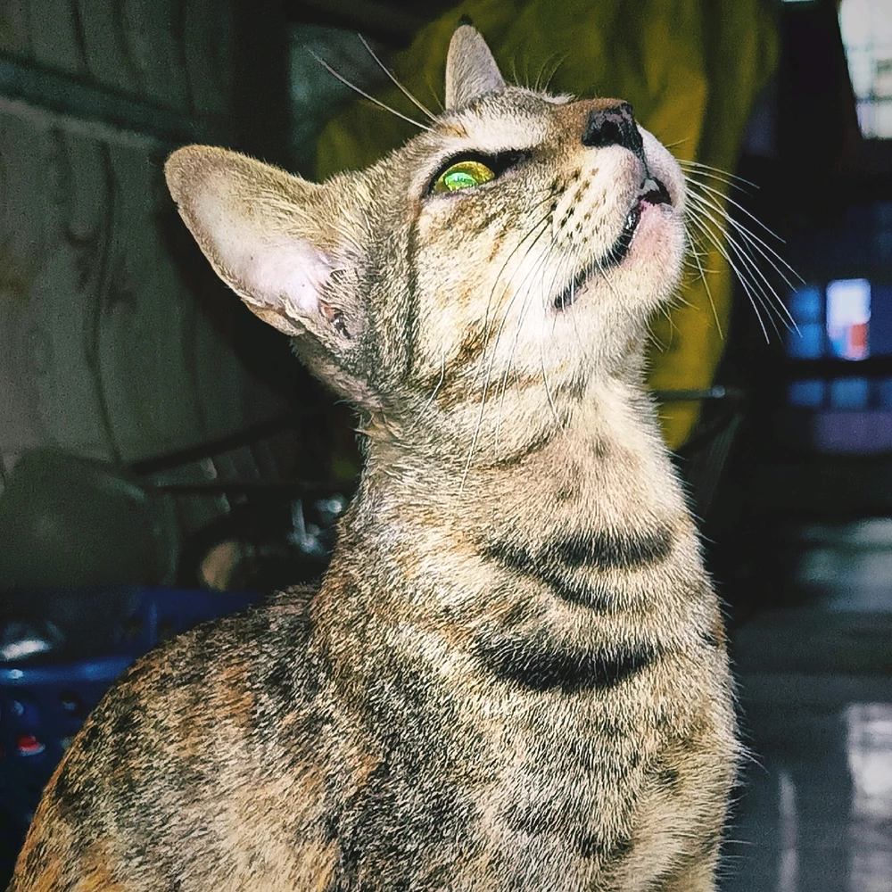 GIF uploaded by Adit