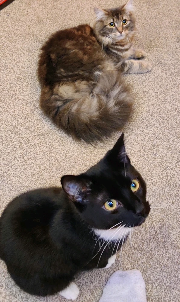 Image uploaded by Andy