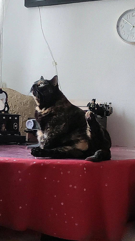 GIF uploaded by Nathalie