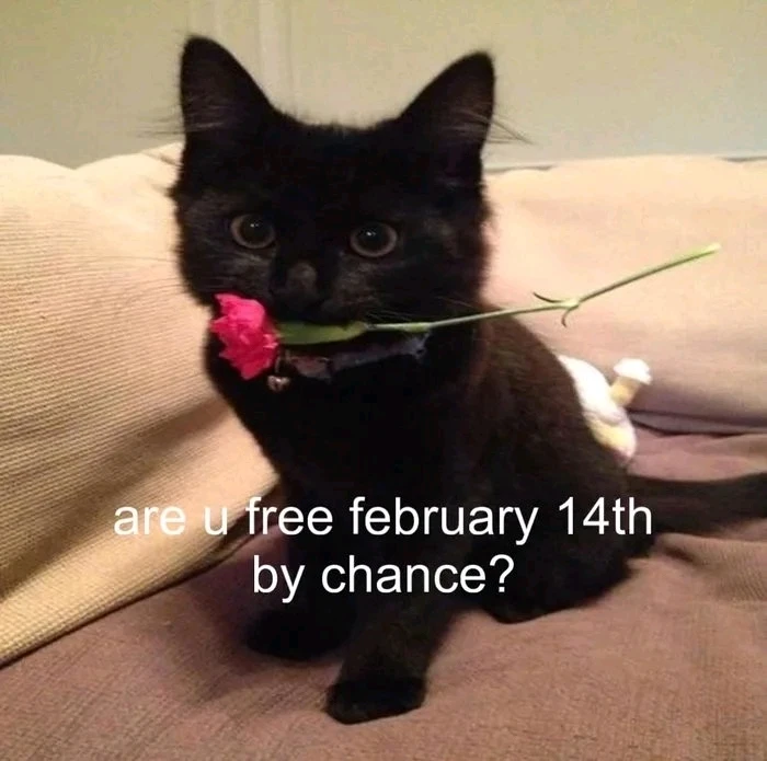 GIF dodany przez Bez Złudzeń