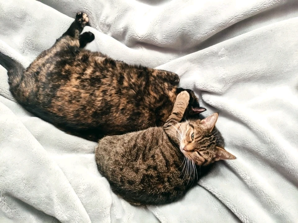 GIF uploaded by Nathalie