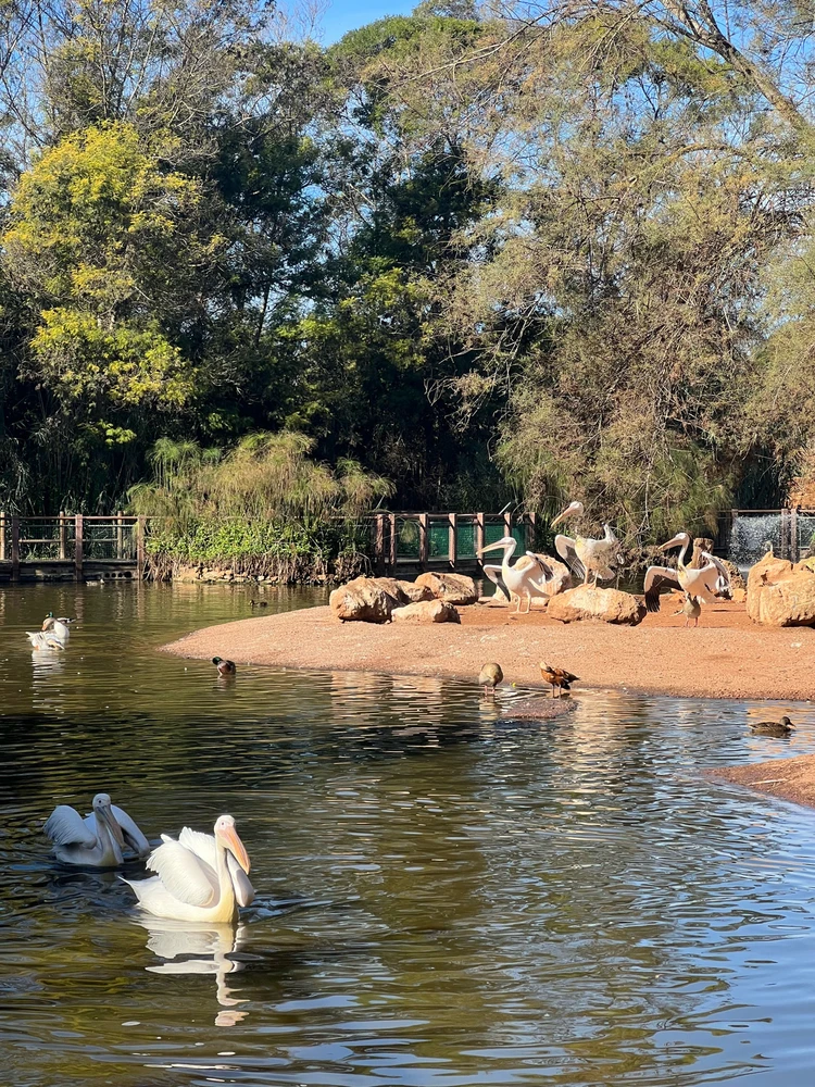 Image uploaded by Hasnae