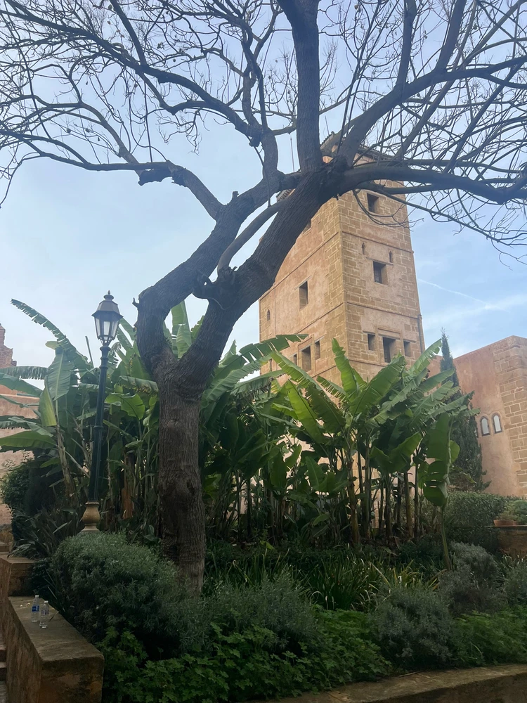 Image uploaded by Hasnae