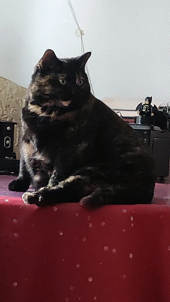 GIF uploaded by Nathalie