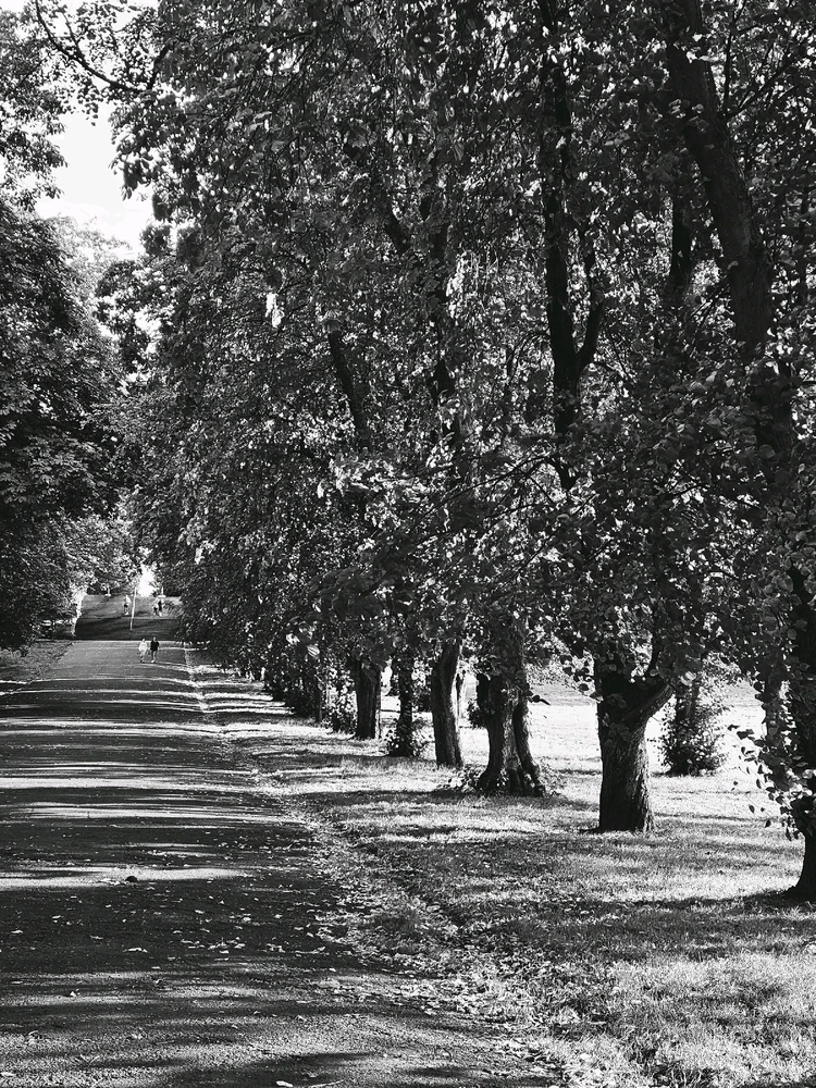 GIF uploaded by Vinny