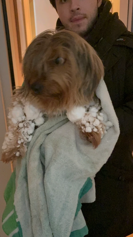 GIF uploaded by Caio