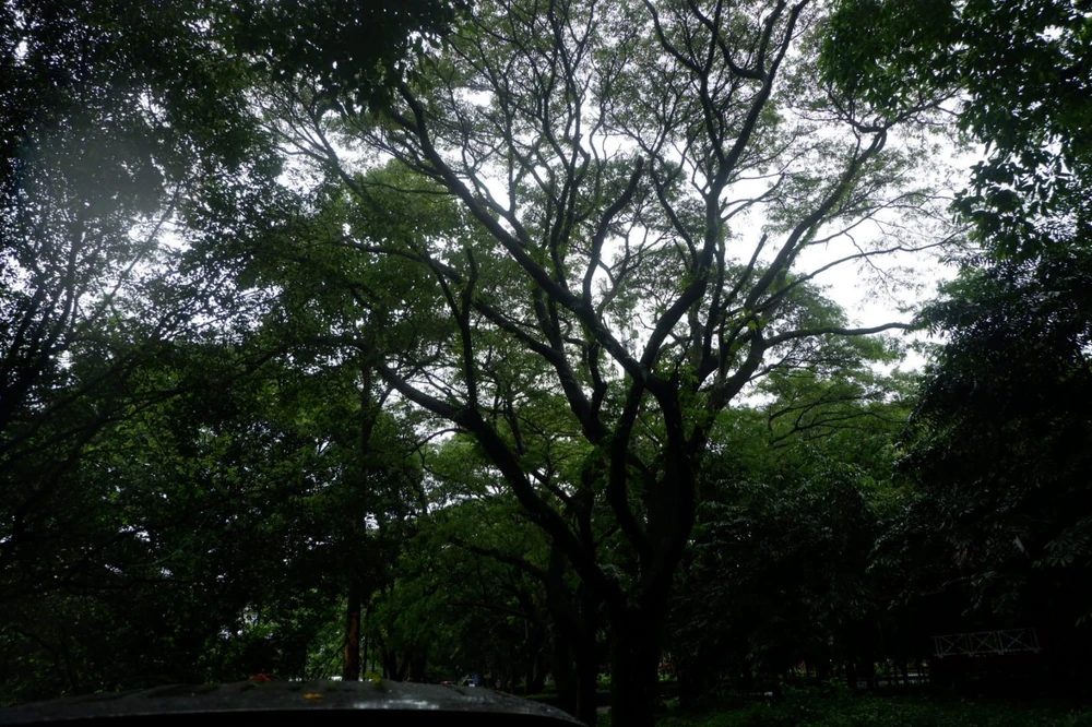 Gambar diunggah oleh putri