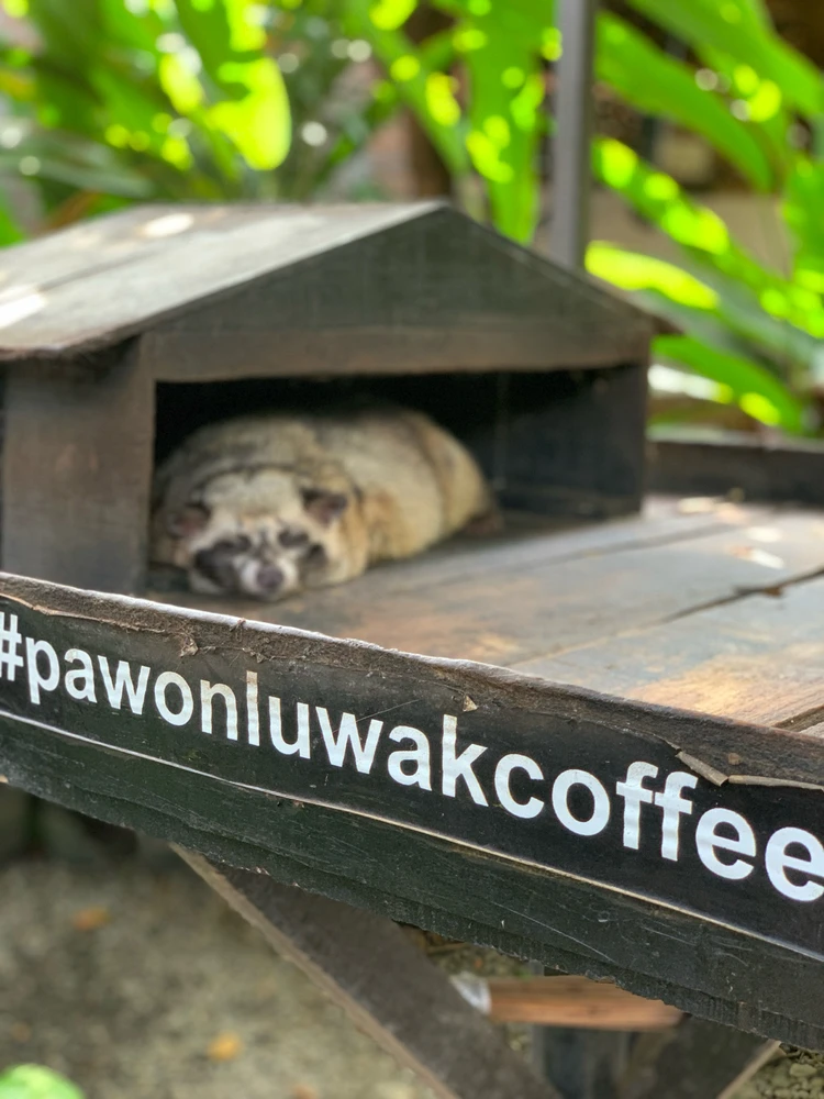 GIF diunggah dening I r e n e