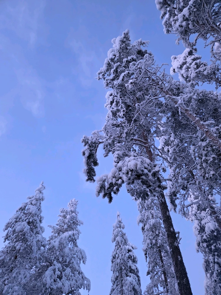GIF na in-upload ni Aurora