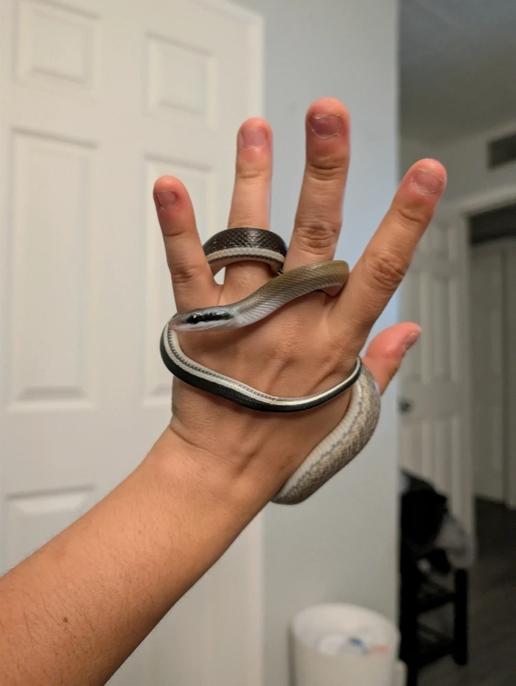 Image uploaded by Jordin