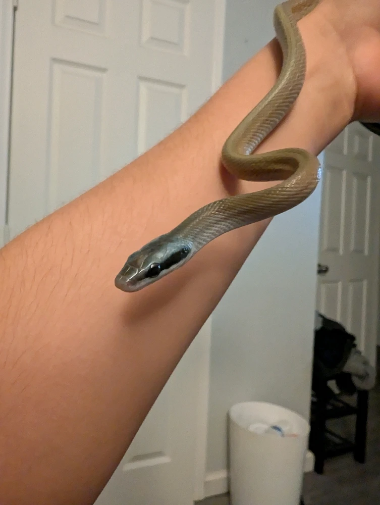 Image uploaded by Jordin