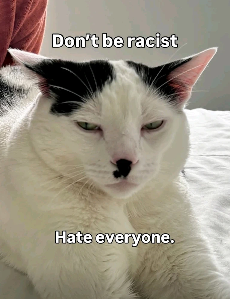 GIF uploaded by Shiri 쉬린 💜