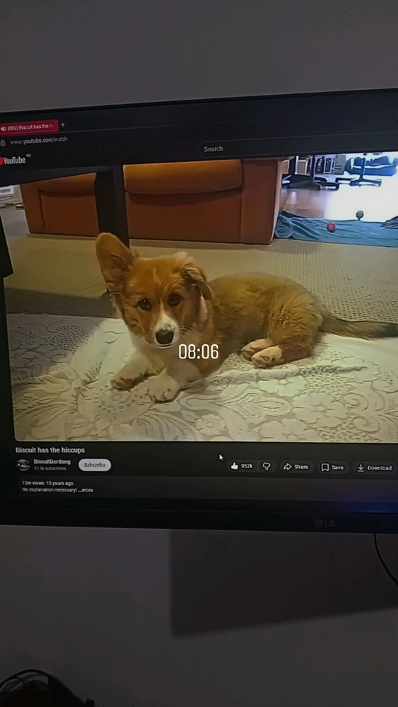 GIF încărcat de Marius