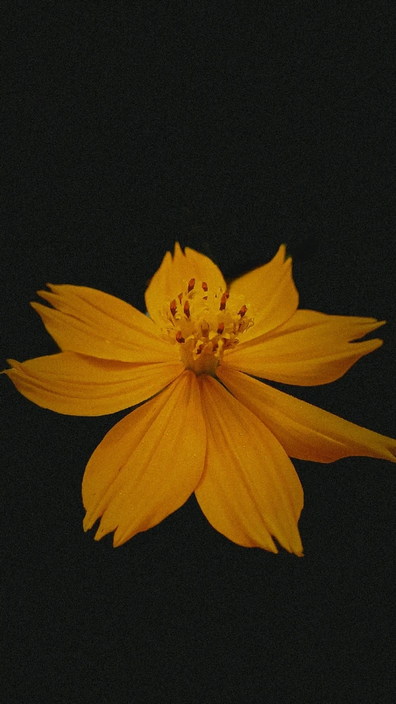 Imagem enviada por Ramon