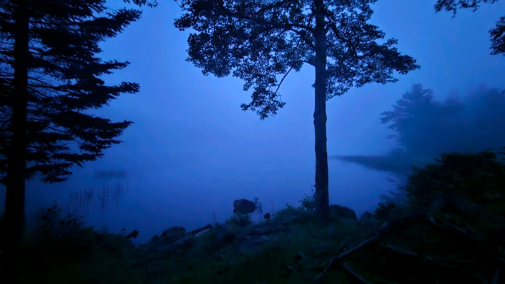 Image uploaded by Jordi