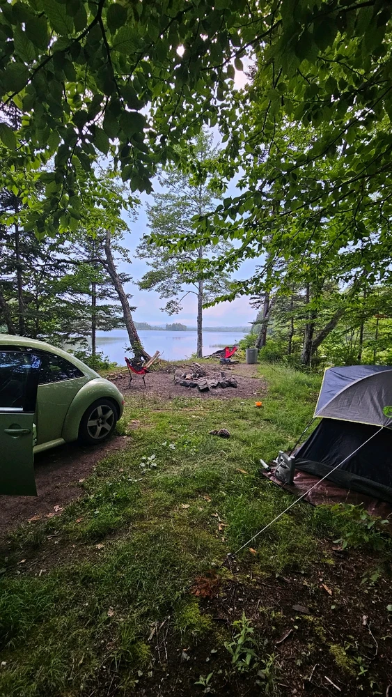 Image uploaded by Jordi