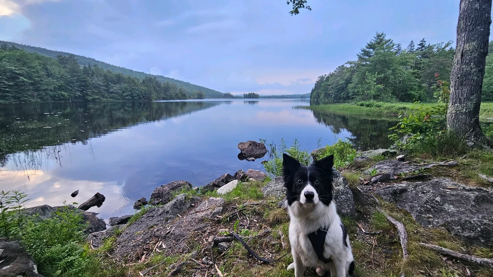 Image uploaded by Jordi