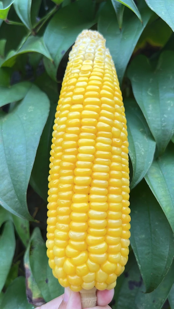 GIF diunggah dening Indah