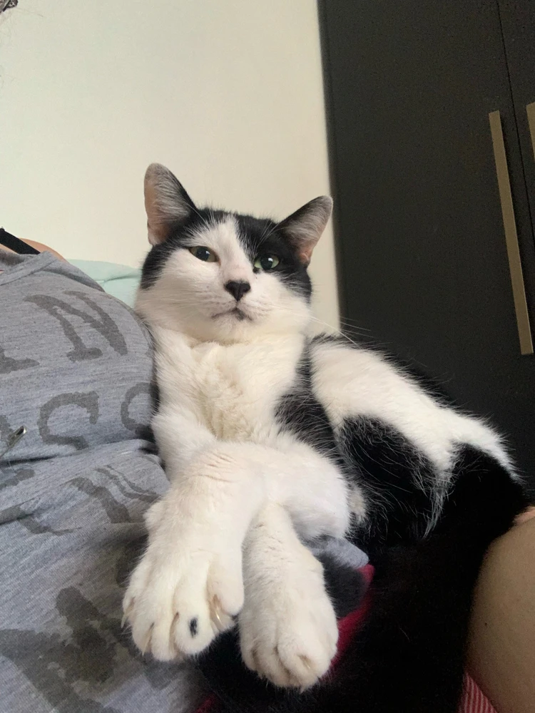 GIF enviado por Letícia