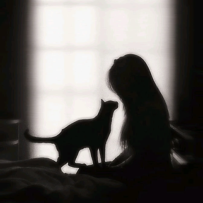 GIF încărcat de Sorina