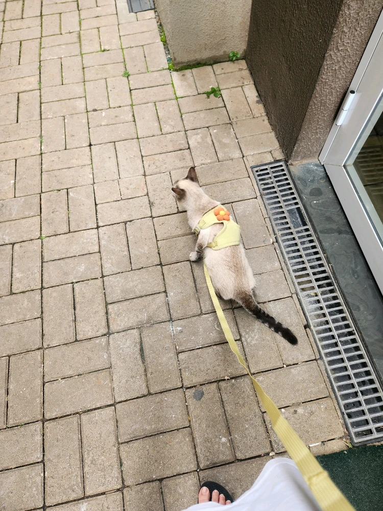 Imagem enviada por Thais