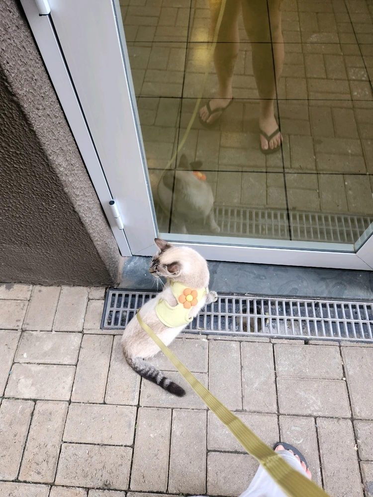 Imagem enviada por Thais