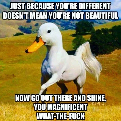 GIF uploaded by Dani