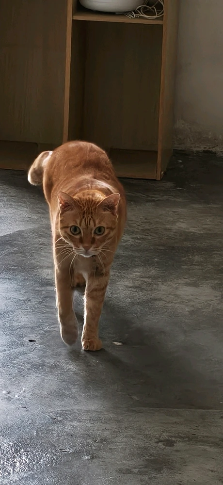 GIF uploaded by Aruzia