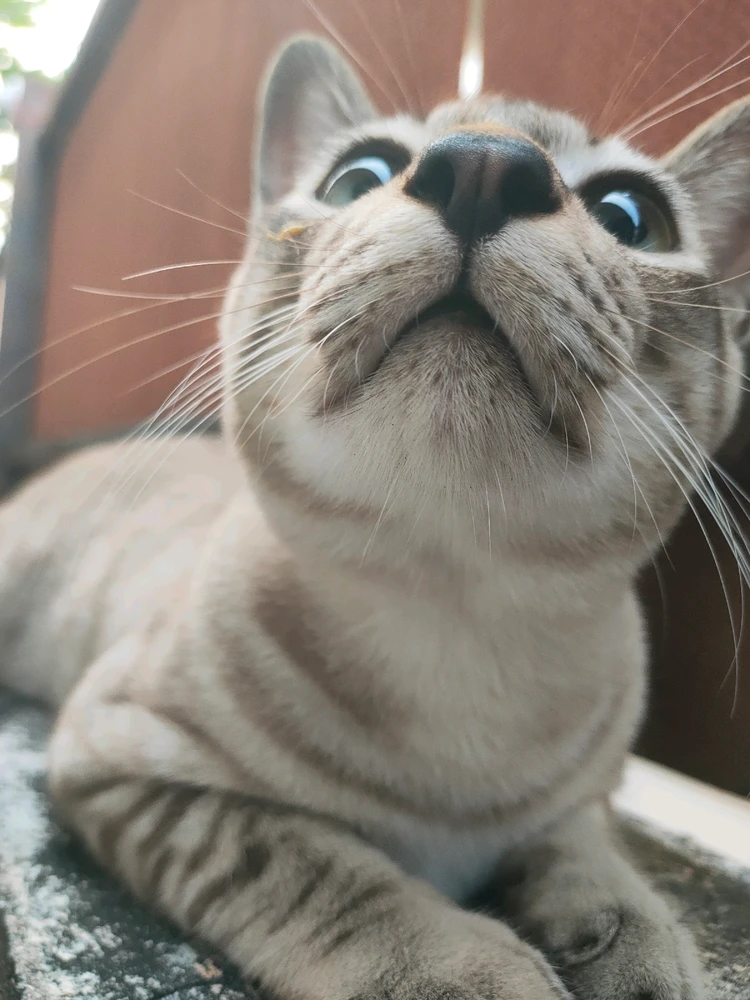 GIF uploaded by Jellyfish