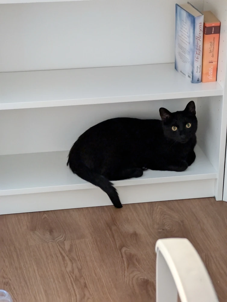 Bild hochgeladen von Nico