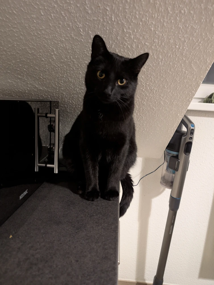 Bild hochgeladen von Nico