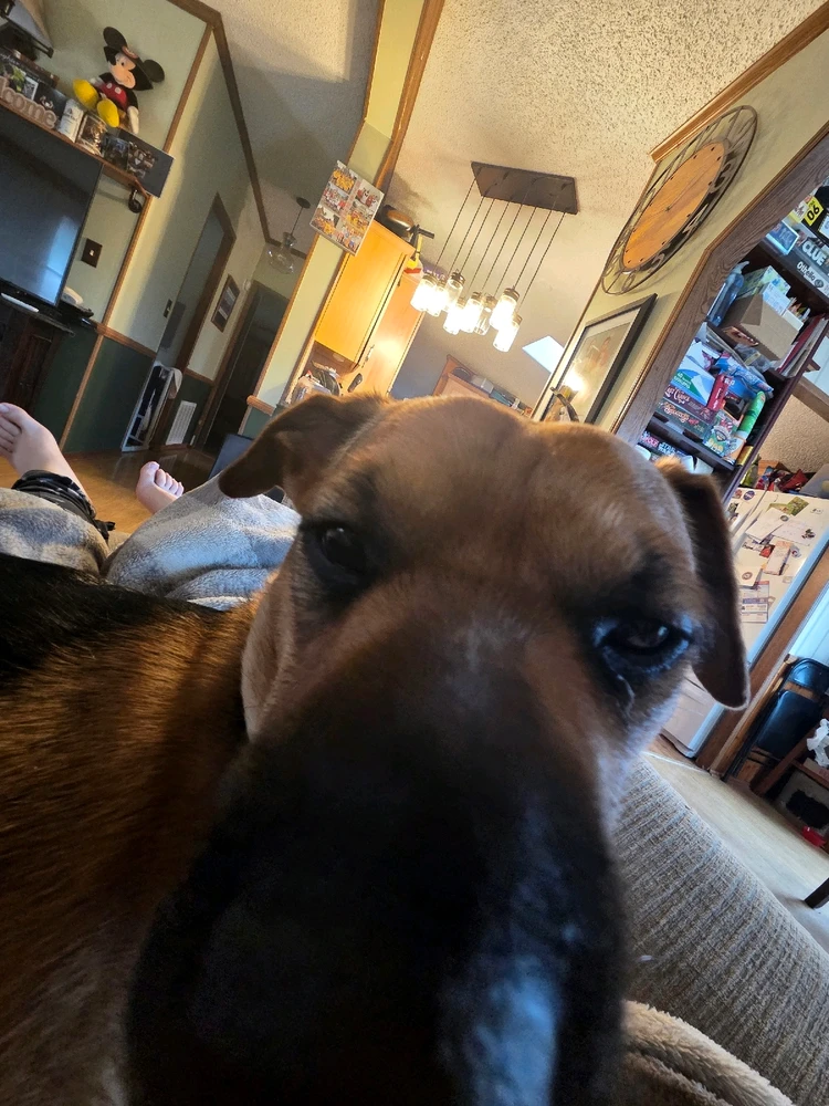 Image uploaded by Anthony