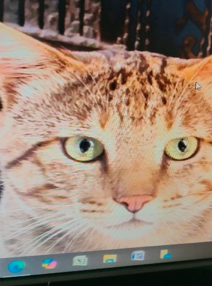 Image uploaded by Piyush