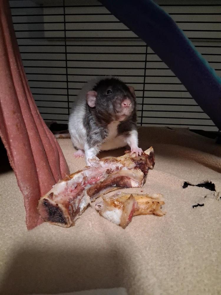 Image uploaded by Eric