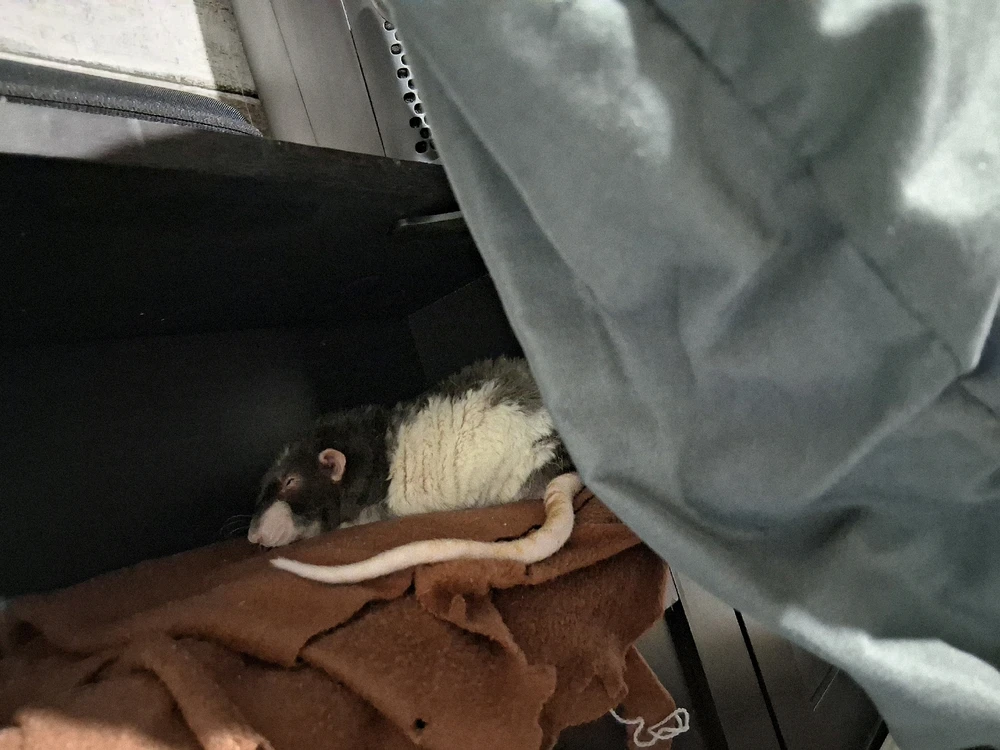 Image uploaded by Eric