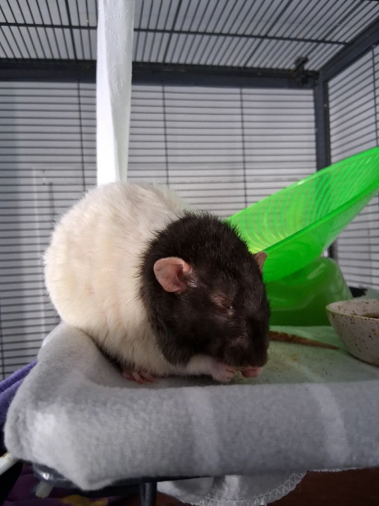 Image uploaded by Eric