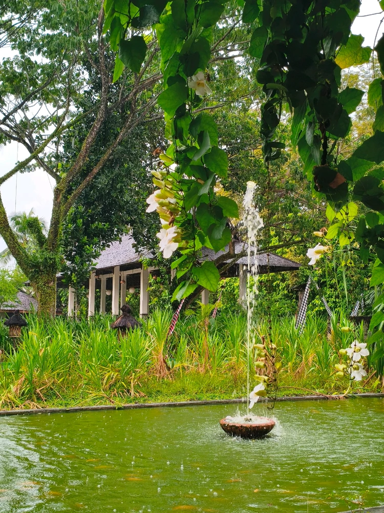 GIF uploaded by Awaraawr