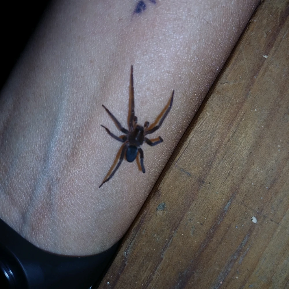 GIF subido por Catalina