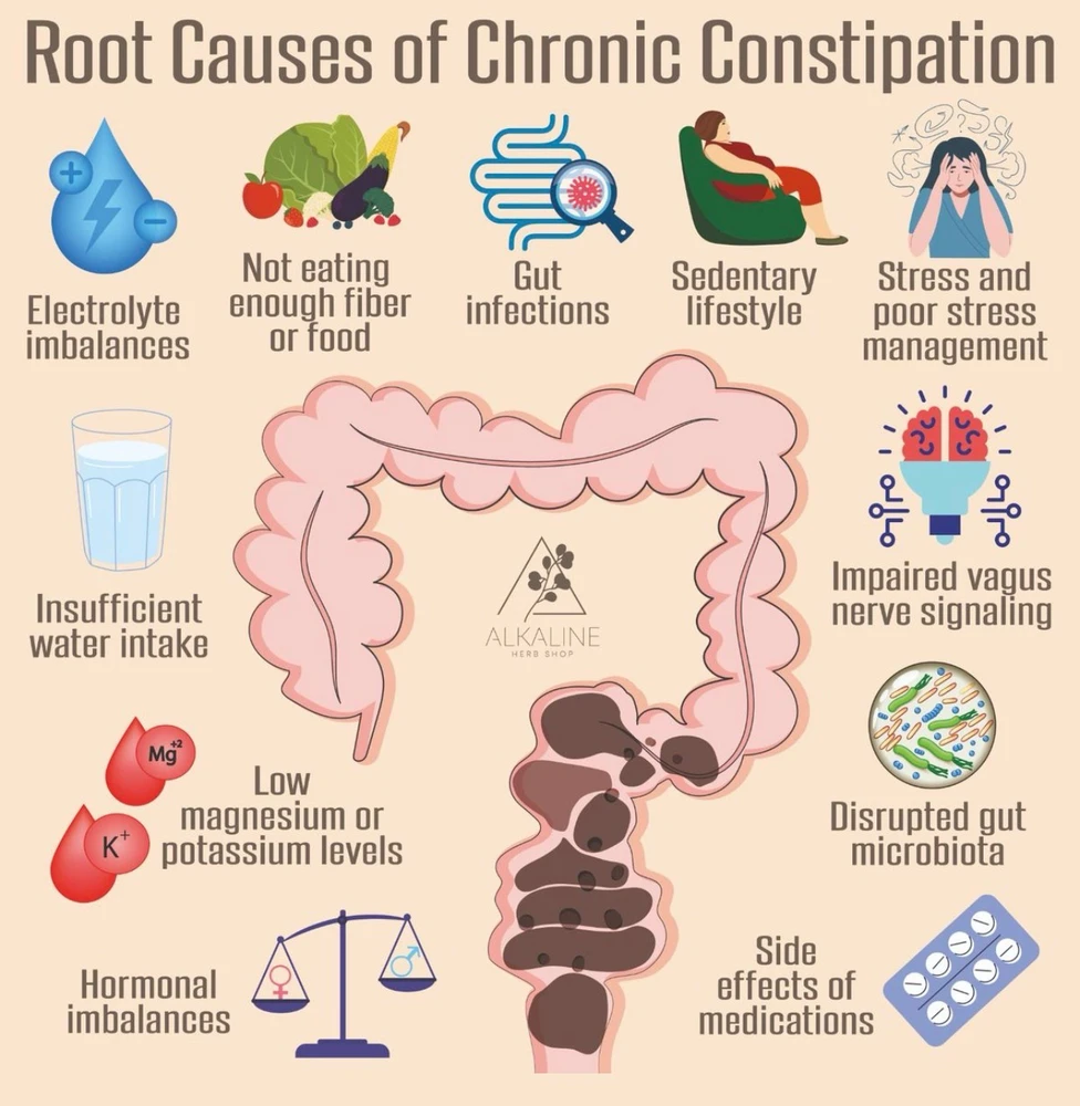 Image uploaded by Erika