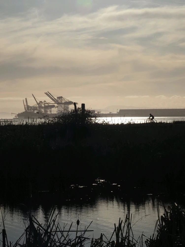 GIF uploaded by Andrew Jatzkowski