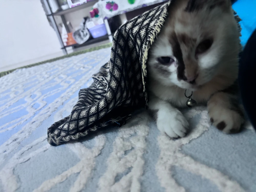 Image uploaded by Raquel