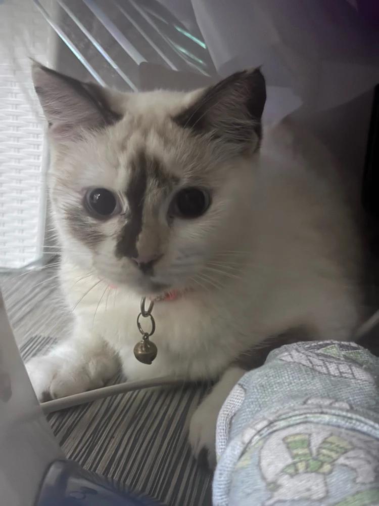 Image uploaded by Raquel