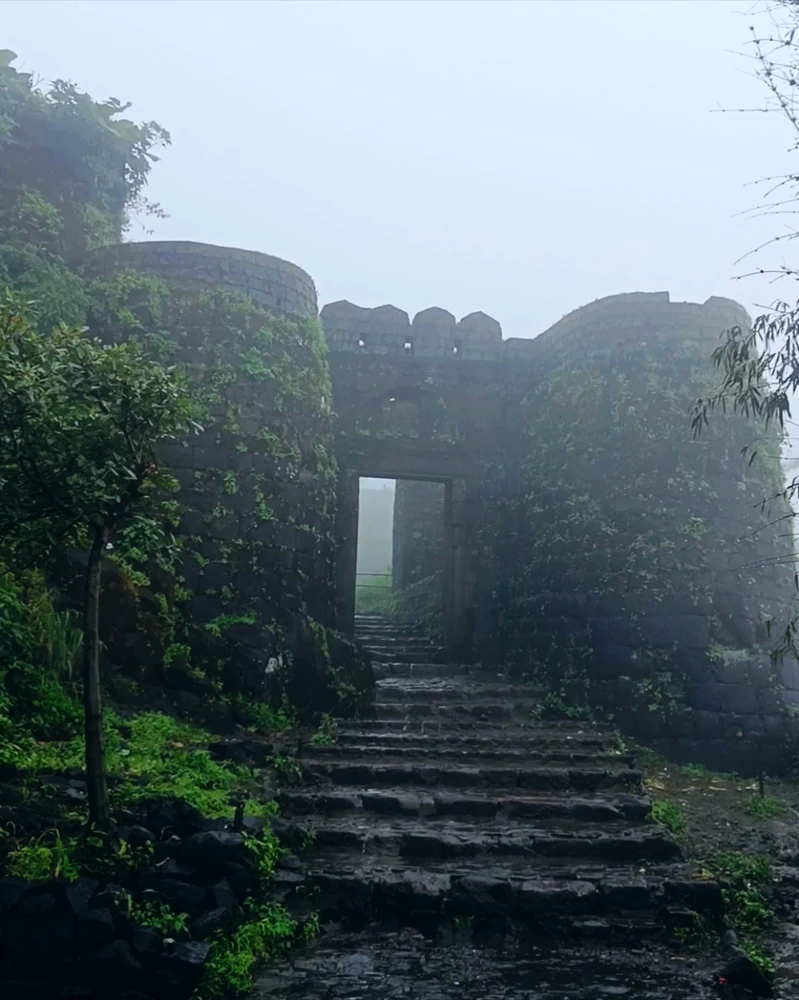 Image uploaded by Mayank